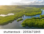 Anavilhanas archipelago, flooded amazonia forest in Negro River, Amazonas, Brazil. Aerial drone view