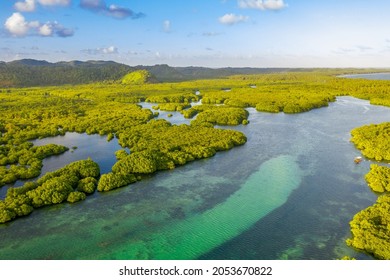 Anavilhanas Archipelago, Flooded Amazonia Forest In Negro River, Amazonas, Brazil. Aerial Drone View