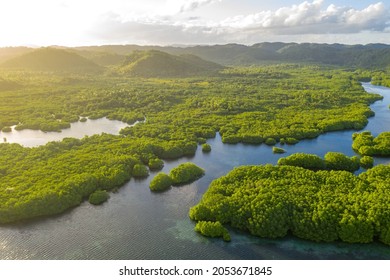 Anavilhanas archipelago, flooded amazonia forest in Negro River, Amazonas, Brazil. Aerial drone view