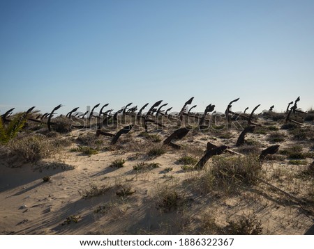 Similar – Image, Stock Photo the audience is listening