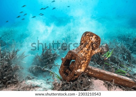 Anchor of a shipwreck in the open sea