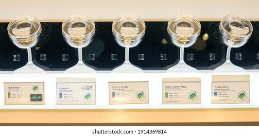 Anchorage, Alaska, United States – August 1, 2019: Part Of The Interior Of Great Northern Cannabis, A Cannabis Dispensary In Downtown Anchorage; Display Case Showing Different Concentrates.