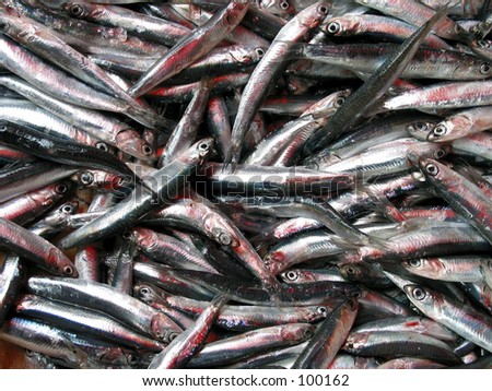 Image, Stock Photo ANCHOA CLUSTER Chrome