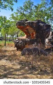 Ancient Aboriginal Rock Art By The Gwion People, 1000 Years Old, Mitchell Plateau,Kimberley Region,Western Australia