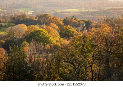 Ancient autumn woodland on the high weald near Silver Hill east Sussex south east England. - Shutterstock ID 2231552373