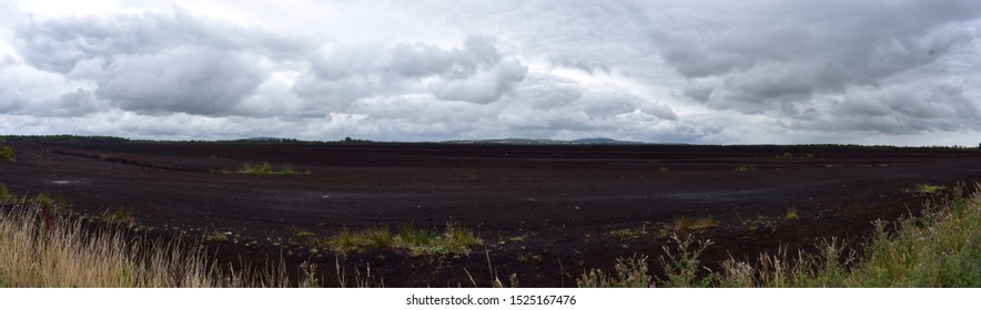 Ancient Bog Of Allen, Ireland