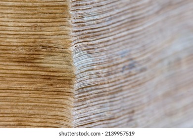 Ancient Book Close Up. Abstract Background From Aged Tome Pages. Specially Defocused Photo.