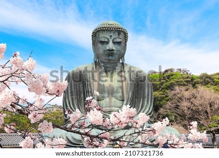 Ancient bronze statue of the Great Buddha Daibutsu and flowers of sakura, Kotoku-in temple, Japan, Asia. Traditional japanese hanami festival. Cherry blossoming season in Japan