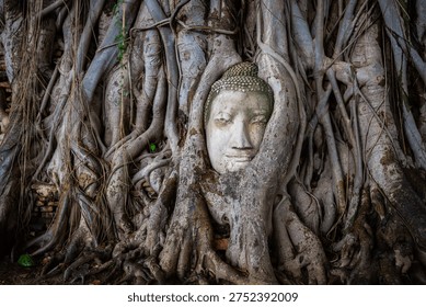 The ancient Buddha head embedded in tree roots at Wat Phra Mahathat, Ayutthaya Historical Park, Thailand, is an original and popular tourist attraction.