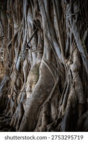 The ancient Buddha head embedded in tree roots at Wat Phra Mahathat, Ayutthaya Historical Park, Thailand, is an original and popular tourist attraction.