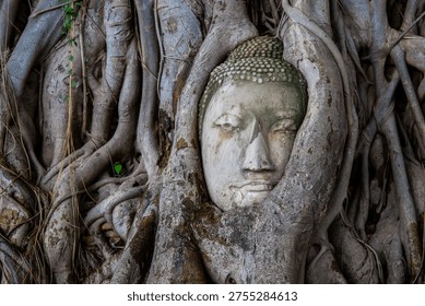 The ancient Buddha head embedded in tree roots at Wat Phra Mahathat, Ayutthaya Historical Park, Thailand, is an original and popular tourist attraction.