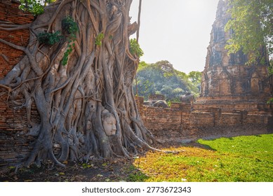 The ancient Buddha head embedded in tree roots at Wat Phra Mahathat, Ayutthaya Historical Park, Thailand, is an original and popular tourist attraction.
