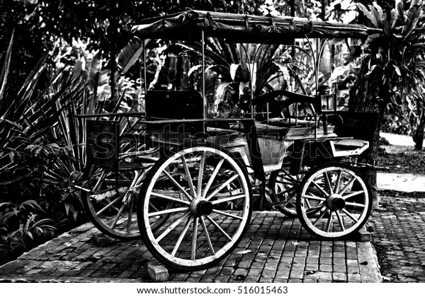 Ancient carriage black-white\
photo.