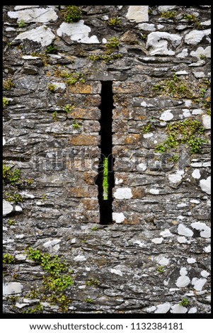 Similar – ray of hope Window Ruin