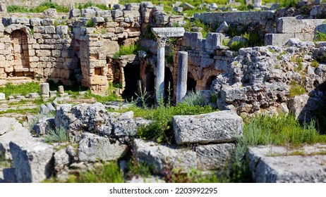 Ancient Columns Amidst The Lost Civilization Of Corinth