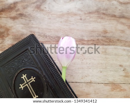 An ancient Danish hymnbook (Psalmer) with prayers and verses to sing in church or at home laying on a wooden vintage table with a single pink tulip. Communion, church, hope concept - space for text