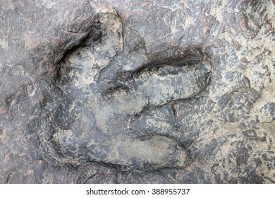 1,537 Footprint dinosaur rock Images, Stock Photos & Vectors | Shutterstock