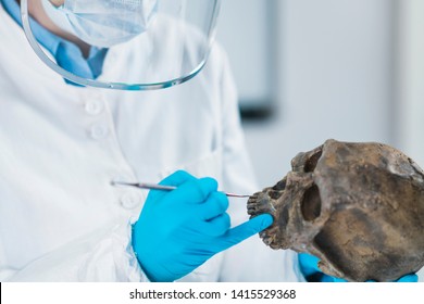 557 Ancient dna Images, Stock Photos & Vectors | Shutterstock