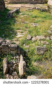 Ancient Greek Polis Greek Colonization Greekscythian Stock Photo (Edit ...