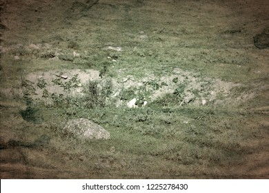 Ancient Greek Polis (Greek Colonization) And Greek-Scythian Settlements On The Black Sea Coast. Old Archaeological Excavations Abandoned, Shell Rock Foundations Visible In The Steppe Area