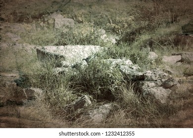 Ancient Greek Polis (Greek Colonization) And Greek-Scythian Settlements On The Black Sea Coast. Old Archaeological Excavations Abandoned, Shell Rock Foundations Visible In The Steppe Area