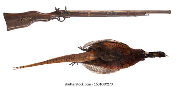 Ancient Gun And Dead Pheasant - Hunter Trophy Isolated On White Background