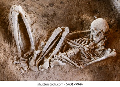 ancient human bone