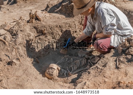 Ancient human skeleton. Archaeological excavations. Ancient history
