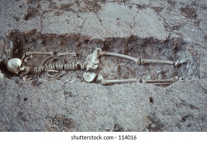 Ancient Human Skeleton In Shallow Grave.