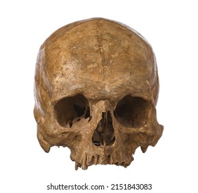 Ancient Human Skull Isolated On White Background