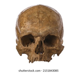 Ancient Human Skull Isolated On White Background