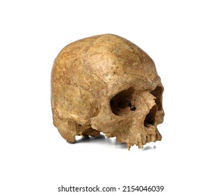 Ancient Human Skull Isolated On White Background