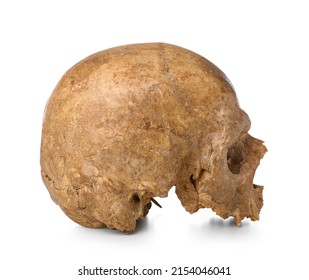 Ancient Human Skull Isolated On White Background