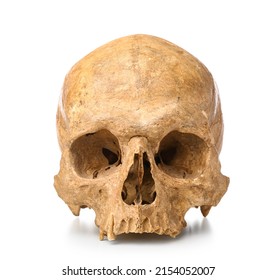 Ancient Human Skull Isolated On White Background