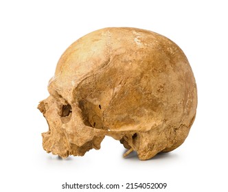 Ancient Human Skull Isolated On White Background