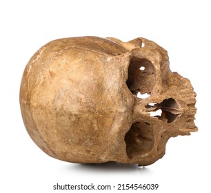 Ancient Human Skull Isolated On White Background