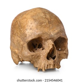 Ancient Human Skull Isolated On White Background