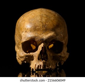 Ancient Human Skull On Black Background