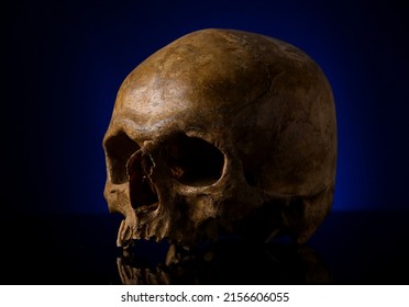 Ancient Human Skull On Black Background