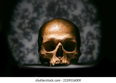 Ancient Human Skull On Dark Background