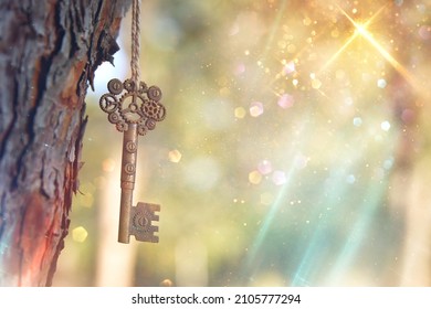 An ancient key hangs on a tree trunk in the forest - Shutterstock ID 2105777294