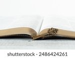 Ancient key and open holy bible book on wood with white background. Close-up. Copy space. Prophecy, revelation, blessing, answered prayer, wisdom, Christian biblical concept.