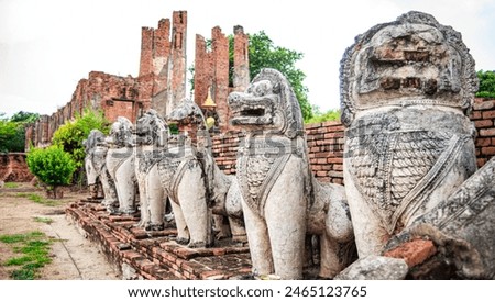Ancient lion statues located around an old Ayutthaya period pagoda at Wat Thammikarat, Phra Nakhon Si Ayutthaya Province, Thailand.
