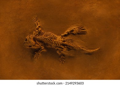 Ancient lizard skeleton fossilized on orange sand. Excavation and fossil. Archaeology. Dinosaur Bones