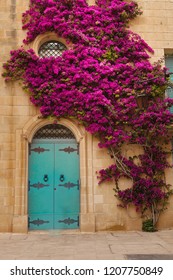 Ancient Maltese House With Pink Bougainvillea In The Wall