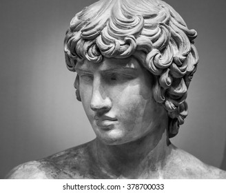 The Ancient Marble Portrait Bust