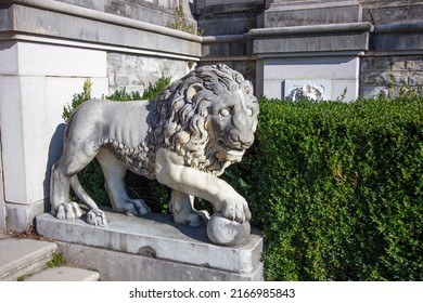 Ancient Marble Statue Of Lion In A Palace Garden