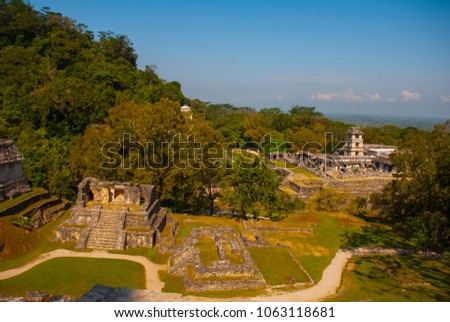 Ancient Mayan city, archaeological complex with ruins, Palace, temples, pyramids. Palenque Chiapas Mexico