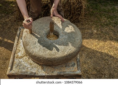 Ancient Millstones For Grinding Grain. Man To Grind Flour On Old Manual Stone Mill. Rustic Life, Production Of Bread. Grinding Grains Into Flour.