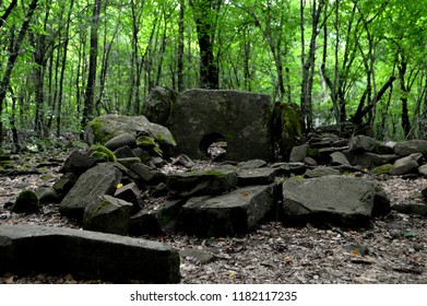 Ancient monolithic structures in the forest